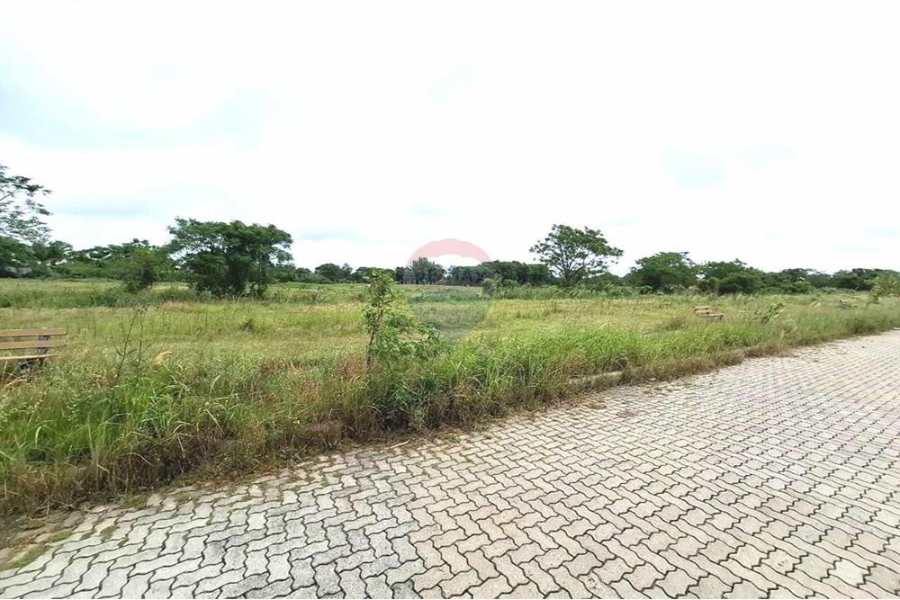 Terreno - Venda - Pelotas , Rio Grande do Sul - WhatsApp Image 2024-11-24 at 15.17.30.jpeg - 610211061-2