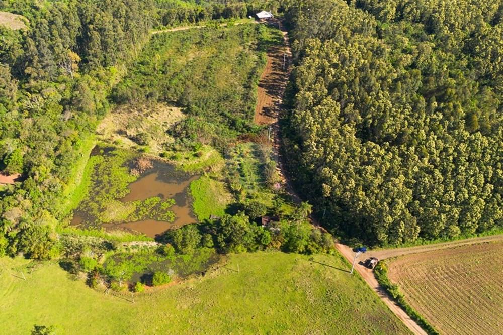 Chácara / Sítio / Fazenda - Venda - Brochier , Rio Grande do Sul - Foto-3.jpg - 610091003-74