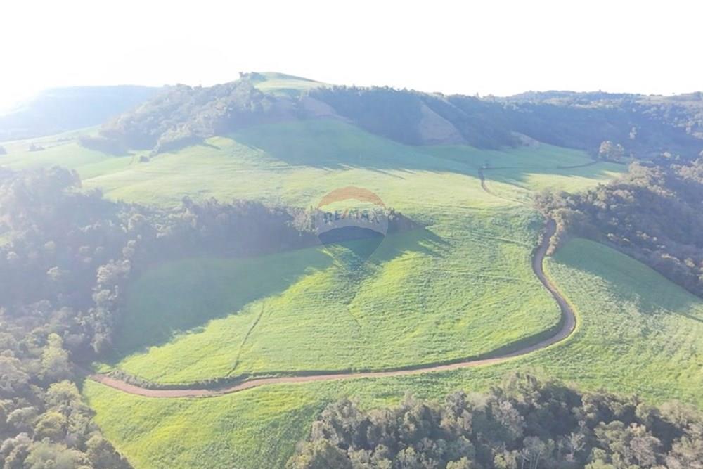 Agro - Venda - Três Palmeiras , Rio Grande do Sul - WhatsApp Image 2025-08-30 at 19.35.33 (2).jpeg - 610231001-210