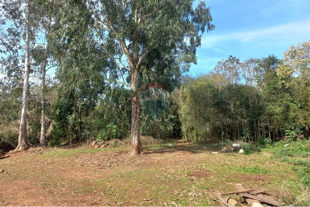 Chácara / Sítio / Fazenda - Venda - Nonoai , Rio Grande do Sul - IRIA 12.jpg - 610231002-40