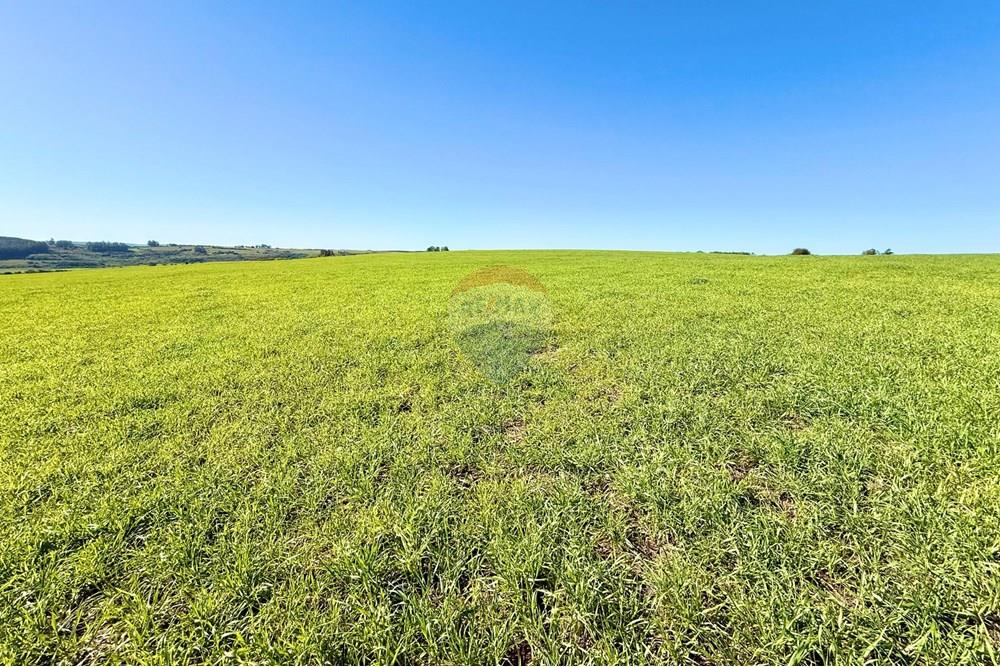 Chácara / Sítio / Fazenda - Venda - Santa Margarida do Sul , Rio Grande do Sul - WhatsApp Image 2025-06-25 at 09.09.45.jpeg - 612631001-60