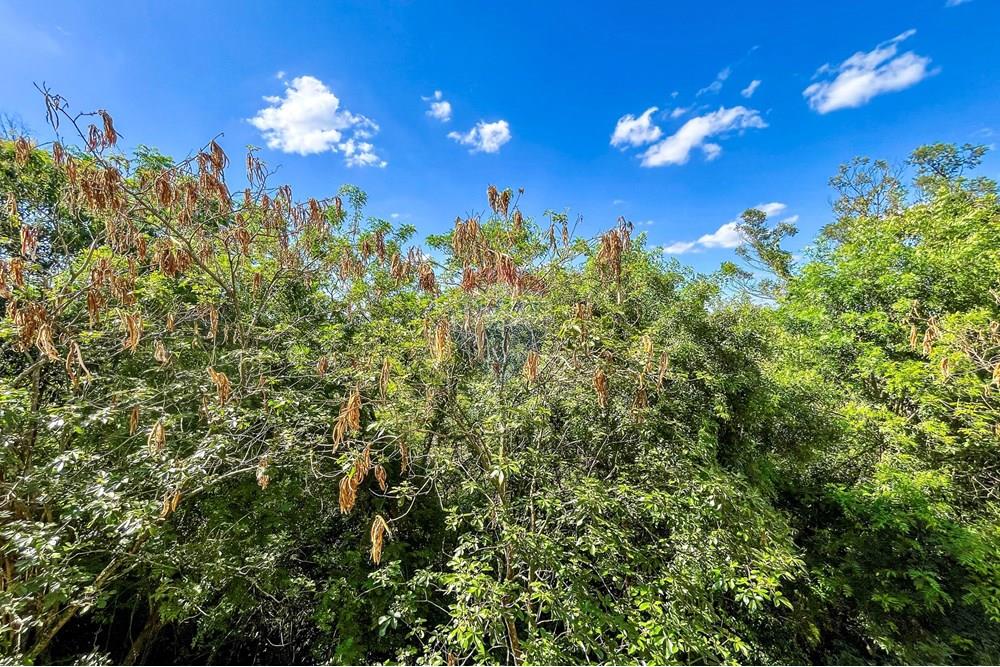 Apartamento - Venda - São Leopoldo , Rio Grande do Sul - IMG_5746.jpeg - 610411022-96