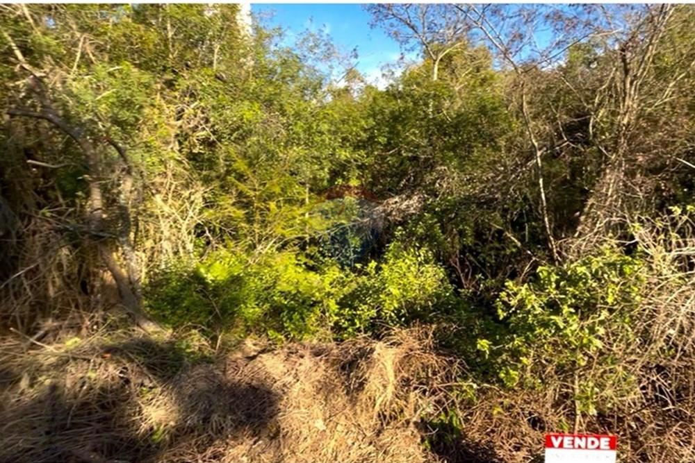 Terreno - Venda - Guaíba , Rio Grande do Sul - Imagem do WhatsApp de 2025-07-25 à(s) 19.59.59_128c9828.jpg - 612781019-5