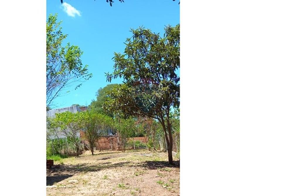 Terreno - Venda - Santa Maria , Rio Grande do Sul - WhatsApp Image 2026-02-20 at 14.05.47 (1).jpeg - 610311151-12