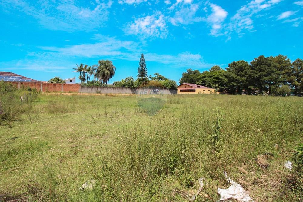 Terreno - Venda - Santa Maria , Rio Grande do Sul - IMG_4974.jpg - 610471031-19