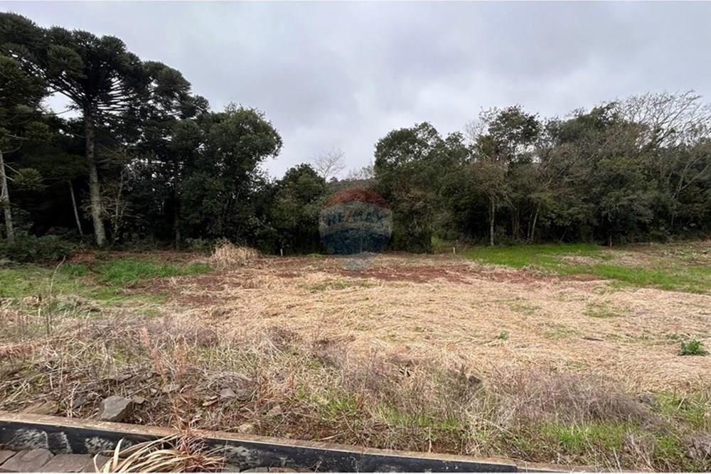 Terreno - Venda - Barão de Cotegipe , Rio Grande do Sul - WhatsApp Image 2025-08-09 at 14.36.36 (2).jpeg - Fachada - 612761035-7