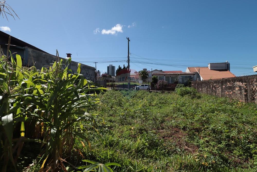 Terreno - Venda - Passo Fundo , Rio Grande do Sul - IMG_4871.JPG - 610271075-18