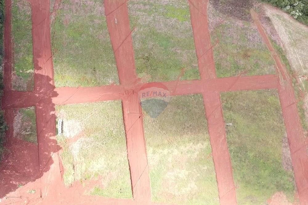 Terreno - Venda - Três Palmeiras , Rio Grande do Sul - WhatsApp Image 2026-03-30 at 09.25.04dgsd.jpeg - 610231001-240