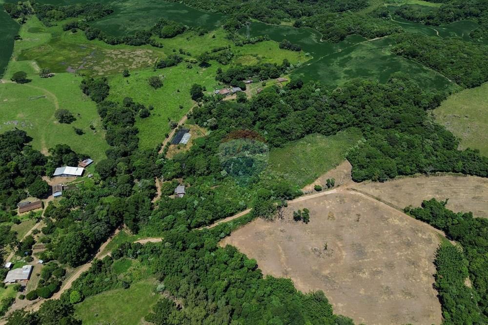 Chácara / Sítio / Fazenda - Venda - Silveira Martins , Rio Grande do Sul - DJI_0820.jpg - 610311058-39