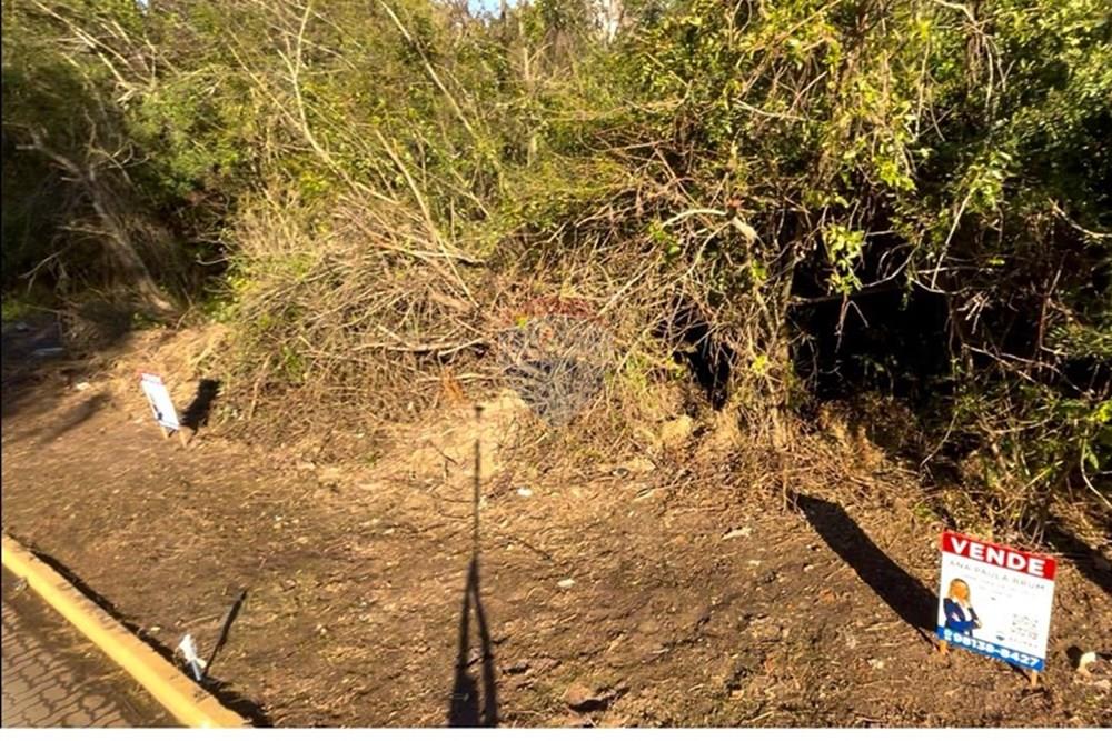 Terreno - Venda - Guaíba , Rio Grande do Sul - Imagem do WhatsApp de 2025-07-25 à(s) 20.00.00_3f6cb1cb.jpg - 612781019-5