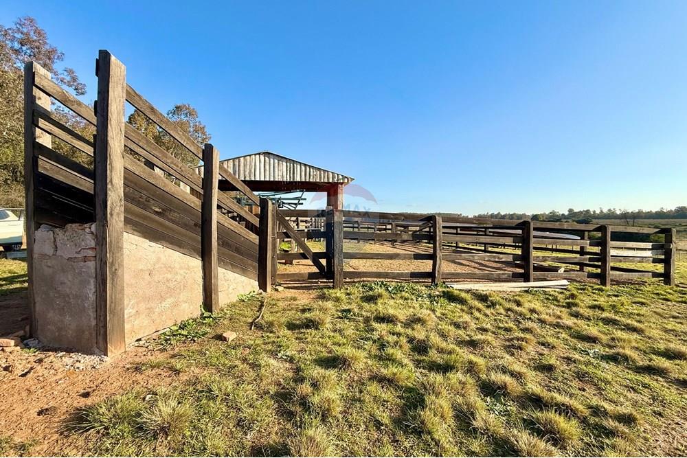 Chácara / Sítio / Fazenda - Venda - São Gabriel , Rio Grande do Sul - 2a22367d-c0a8-4f11-a9d9-c568f00ab5c5.jpeg - 612631037-9