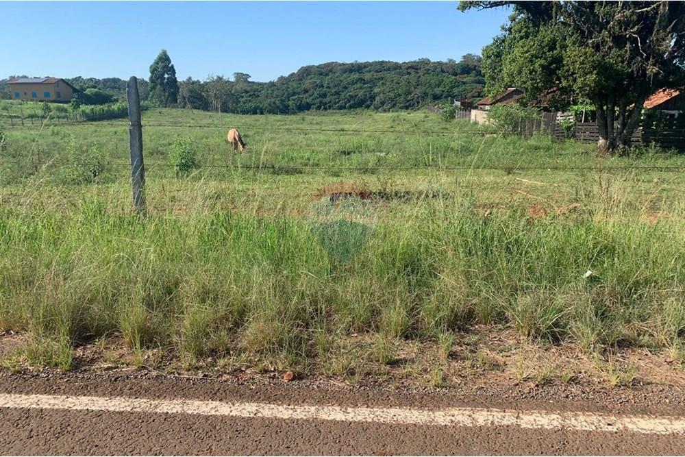 Chácara / Sítio / Fazenda - Venda - Santa Cruz do Sul , Rio Grande do Sul - WhatsApp Image 2025-02-25 at 10.27.51.jpeg - 612741028-21