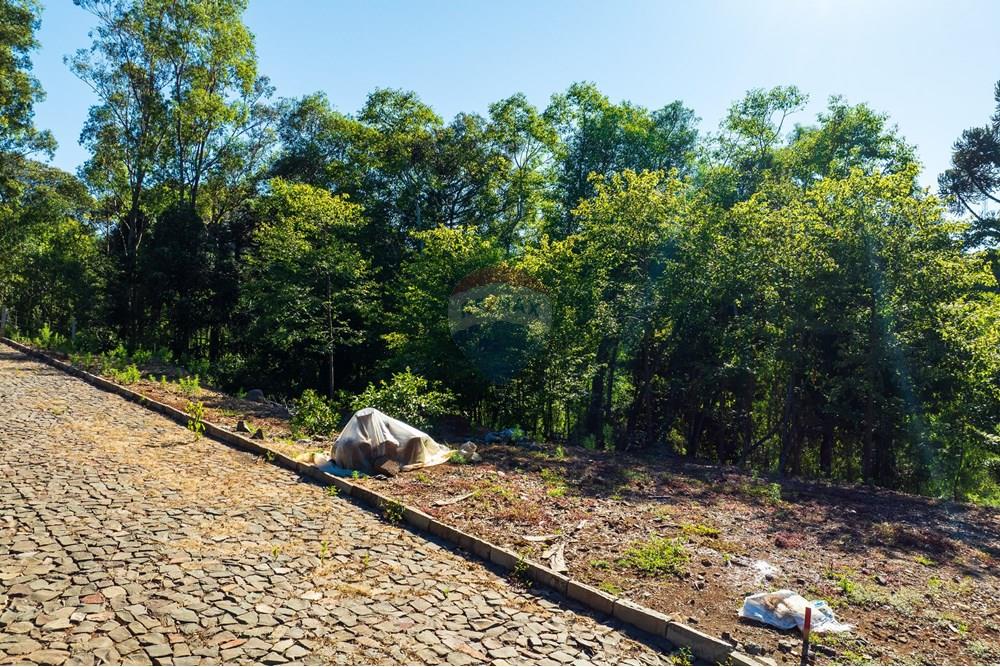 Terreno - Venda - Erechim , Rio Grande do Sul - DJI_0735.jpg - 612761012-20