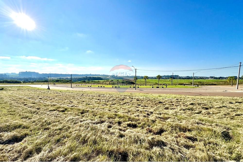 Terreno - Venda - Passo Fundo , Rio Grande do Sul - IMG_5622.jpeg - 610071006-1048