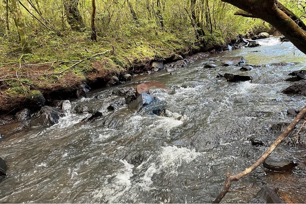Chácara / Sítio / Fazenda - Venda - Lagoa Vermelha , Rio Grande do Sul - IMG_4183.jpg - 610111017-6