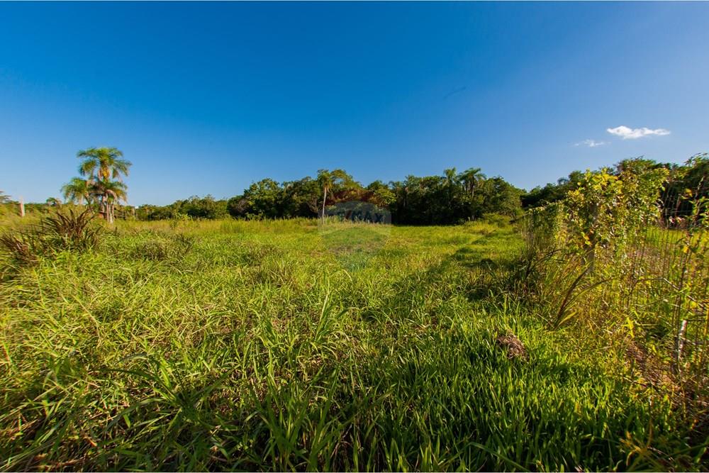 Terreno - Venda - Pareci Novo , Rio Grande do Sul - Foto-22.jpg - 610091005-86