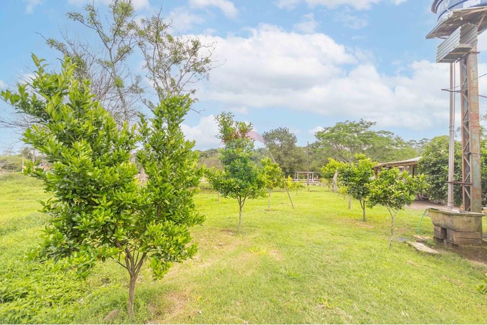 Chácara / Sítio / Fazenda - Venda - Gravataí , Rio Grande do Sul - WhatsApp Image 2025-05-26 at 18.45.27 (3).jpeg - 610381018-3