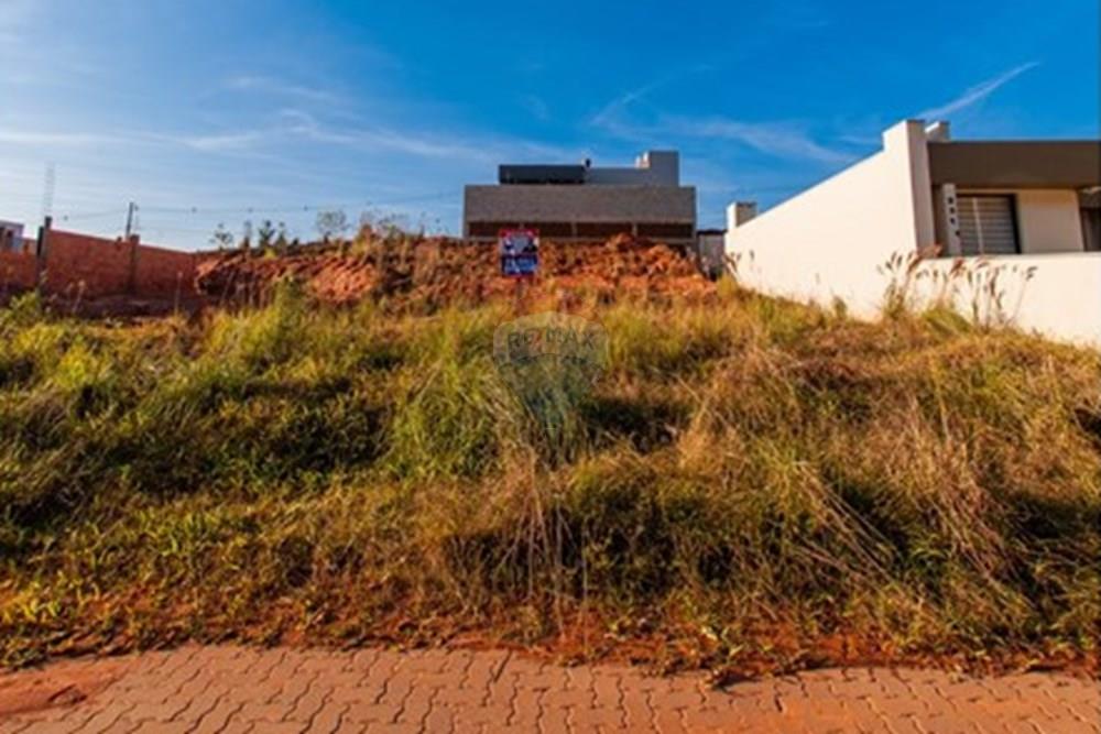 Terreno - Venda - Montenegro , Rio Grande do Sul - Foto-16 (1).jpg - 610091023-34