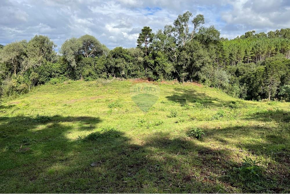 Chácara / Sítio / Fazenda - Venda - Lagoa Vermelha , Rio Grande do Sul - IMG_4232.jpg - 610111017-6