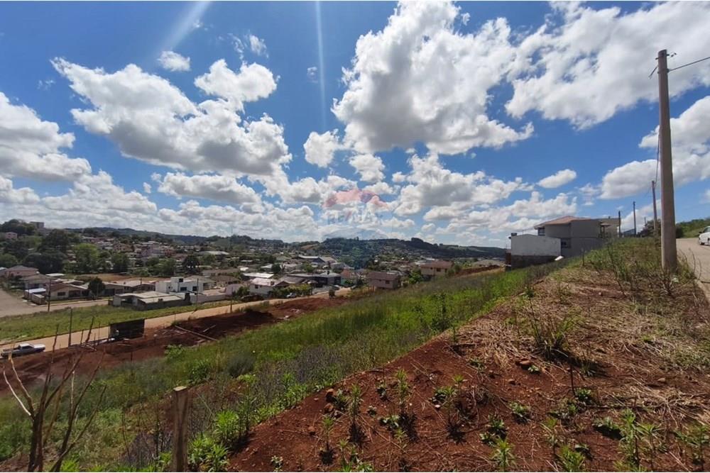 Terreno - Venda - Barão de Cotegipe , Rio Grande do Sul - Imagem do WhatsApp de 2025-10-10 à(s) 15.11.08_f8093e9d.jpg - 612761047-5