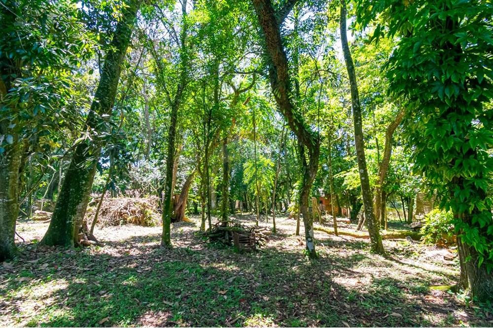 Chácara / Sítio / Fazenda - Venda - Gravataí , Rio Grande do Sul - LRP 15.jpg - 612551082-7