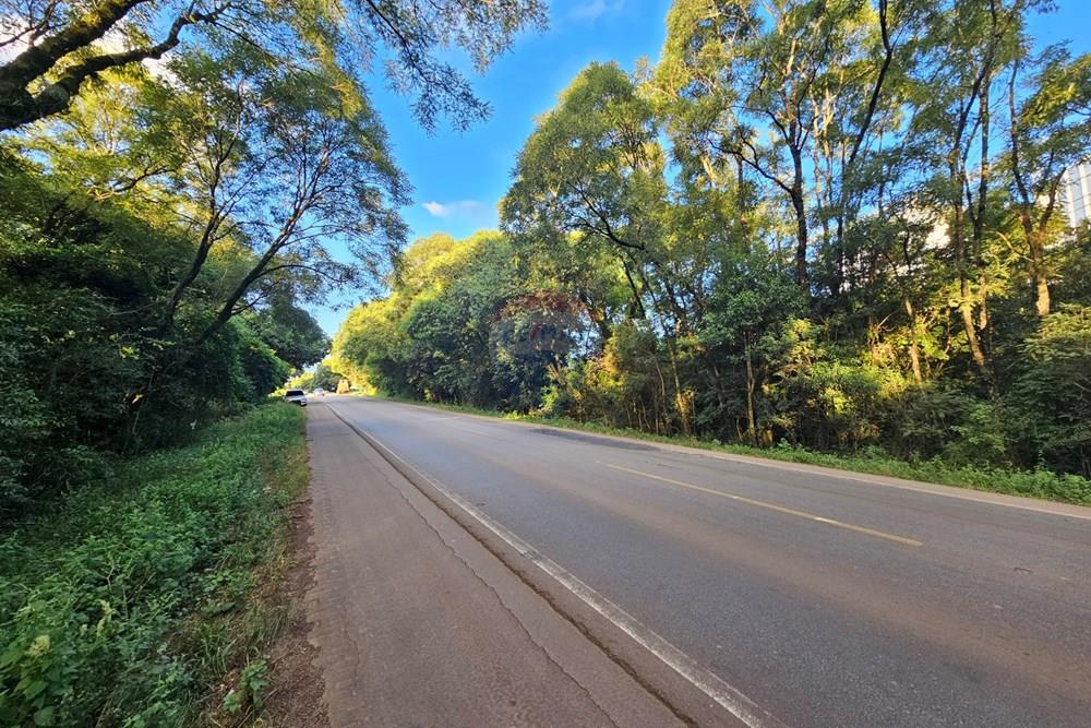 Terreno - Venda - Passo Fundo , Rio Grande do Sul - 20260218_183308.jpg - 612621034-49