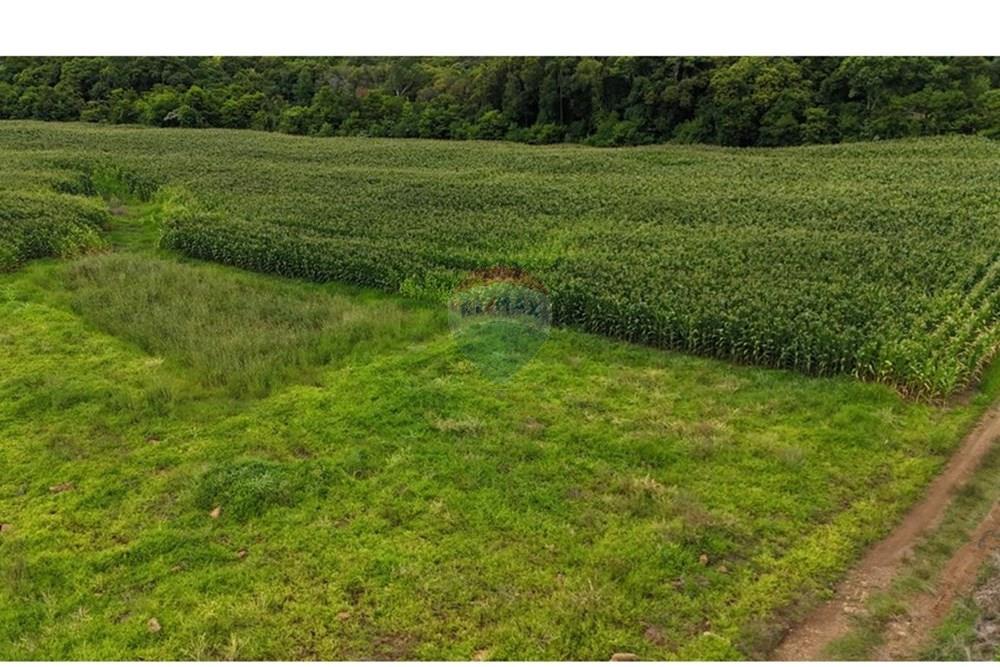 Chácara / Sítio / Fazenda - Venda - Gramado , Rio Grande do Sul - WhatsApp Image 2026-02-24 at 16.26.07 (14).jpeg - 610131034-44