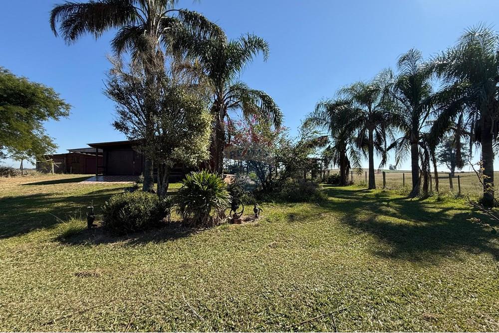 Chácara / Sítio / Fazenda - Venda - São Gabriel , Rio Grande do Sul - Imagem do WhatsApp de 2025-06-27 à(s) 23.44.43_812708b2.jpg - 612631046-8