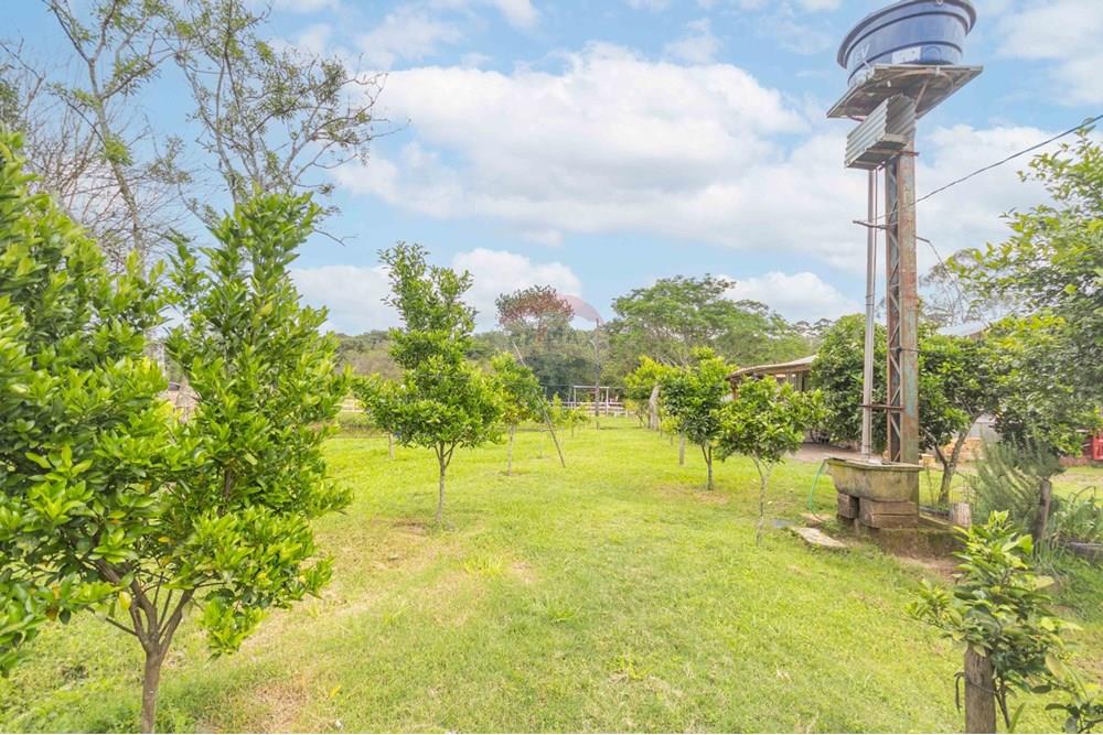 Chácara / Sítio / Fazenda - Venda - Gravataí , Rio Grande do Sul - WhatsApp Image 2025-05-26 at 18.45.27 (2).jpeg - 610381018-3