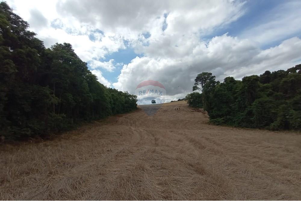 Chácara / Sítio / Fazenda - Venda - Sarandi , Rio Grande do Sul - WhatsApp Image 2025-11-26 at 16.01.40 (4).jpeg - 610341020-16