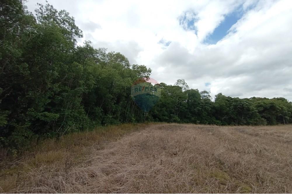 Chácara / Sítio / Fazenda - Venda - Sarandi , Rio Grande do Sul - WhatsApp Image 2025-11-26 at 16.01.42 (5).jpeg - 610341020-16