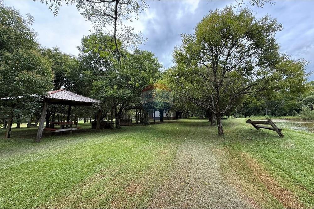 Chácara / Sítio / Fazenda - Venda - Carazinho , Rio Grande do Sul - WhatsApp Image 2026-01-30 at 19.34.04 (1).jpeg - 612701005-32