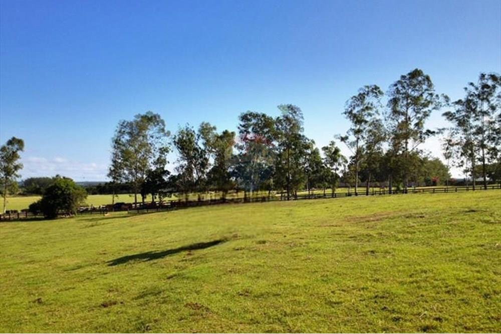 Chácara / Sítio / Fazenda - Venda - Viamão , Rio Grande do Sul - WhatsApp Image 2025-08-06 at 10.46.49.jpeg - 612531061-5