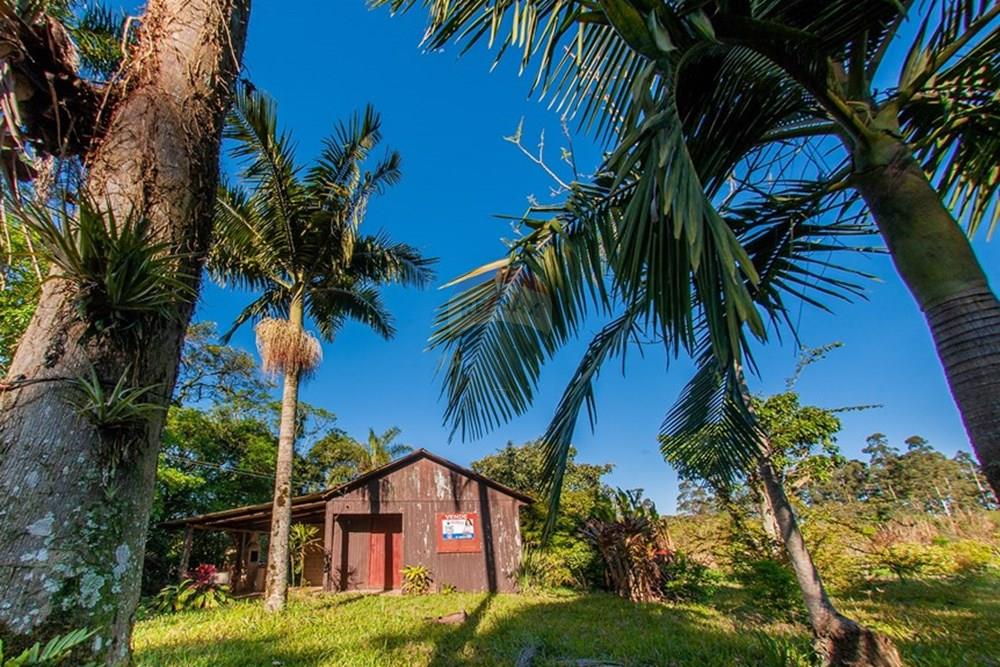 Chácara / Sítio / Fazenda - Venda - Brochier , Rio Grande do Sul - Foto-16.jpg - 610091003-74