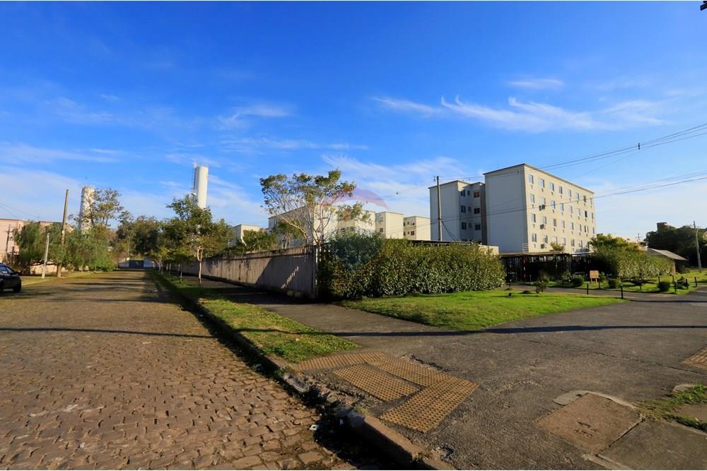 Apartamento - Venda - Porto Alegre , Rio Grande do Sul - IMG_0080.JPG - 612531048-12