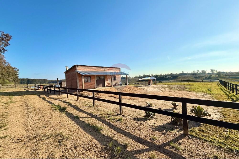 Chácara / Sítio / Fazenda - Venda - São Gabriel , Rio Grande do Sul - 85f29fde-c315-4253-a90e-2c74e79bd07d (1).jpeg - 612631037-9