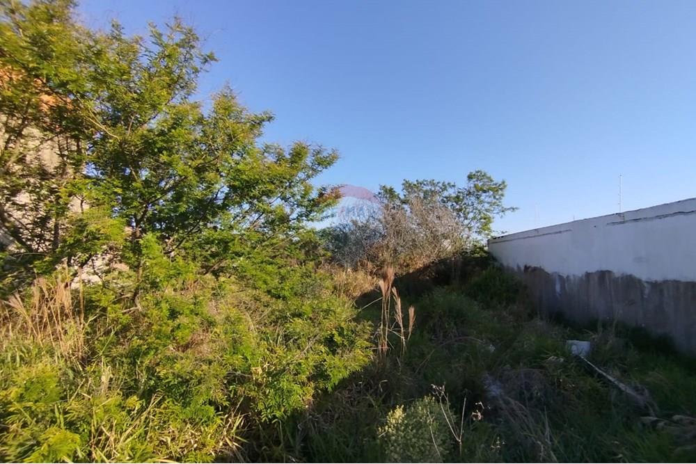 Terreno - Venda - Canoas , Rio Grande do Sul - Imagem do WhatsApp de 2025-09-26 à(s) 19.44.24_ce45e466.jpg - 610241023-65