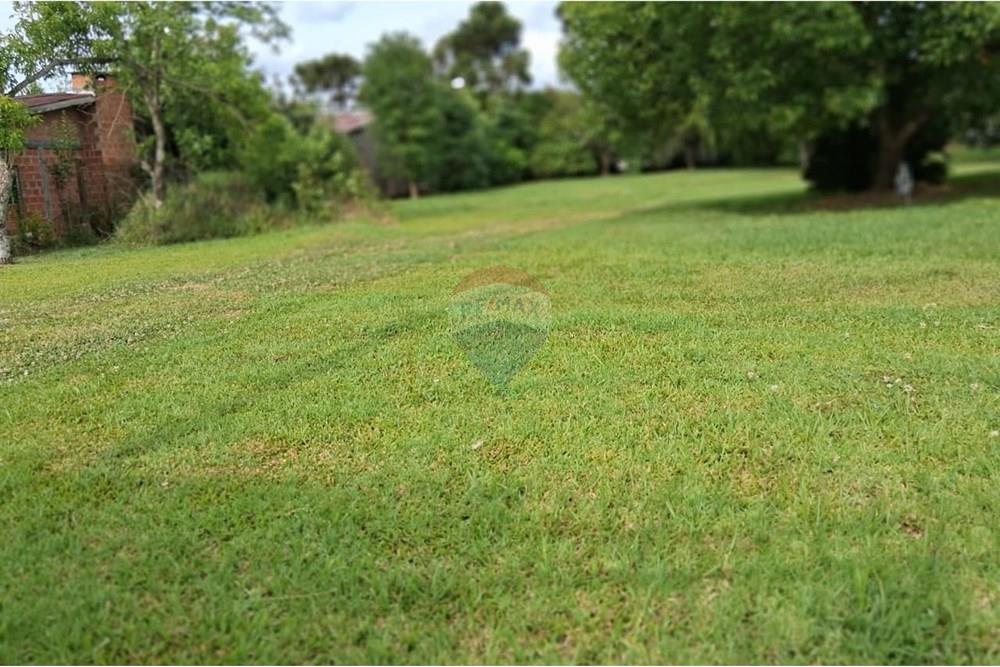 Terreno - Venda - Ibirapuitã , Rio Grande do Sul - WhatsApp Image 2025-12-01 at 16.35.07 (6).jpeg - 610271103-10