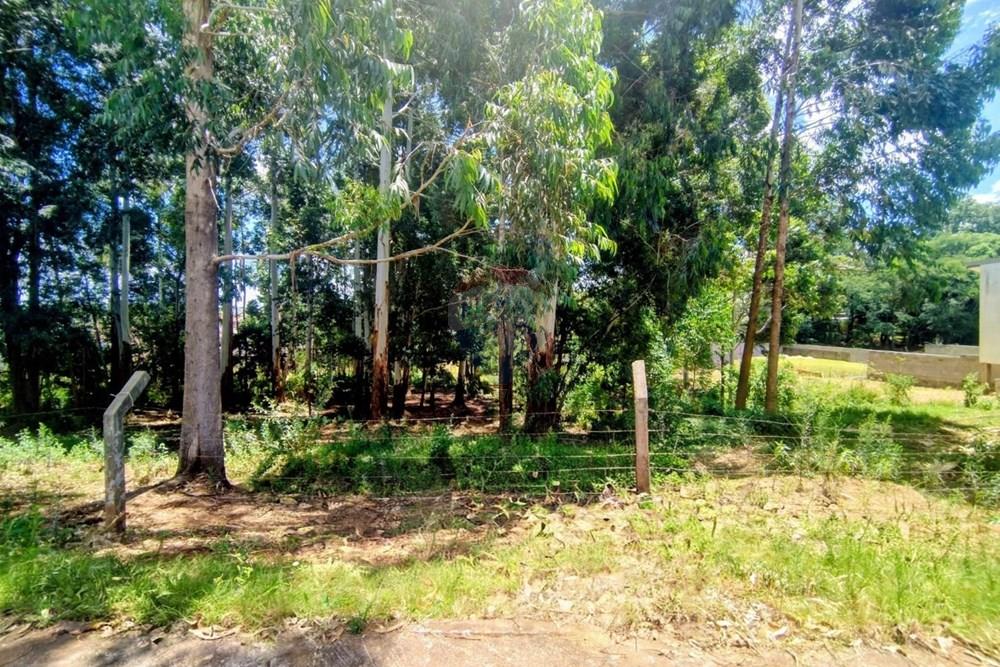 Terreno - Venda - Passo Fundo , Rio Grande do Sul - 1.2.jpeg - 610351009-68