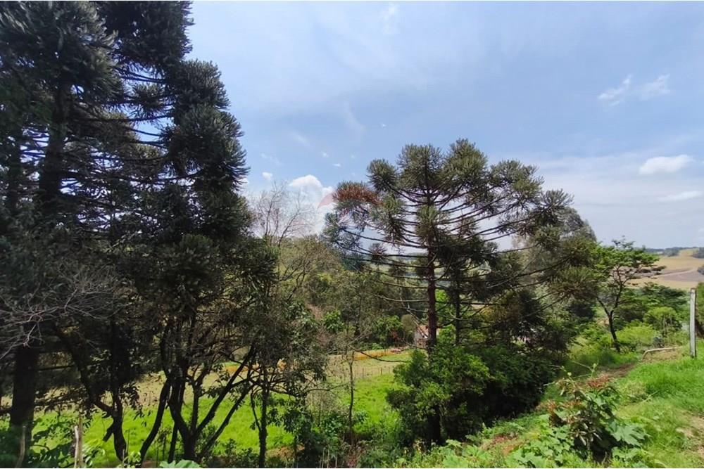 Terreno - Venda - São Valentim , Rio Grande do Sul - WhatsApp Image 2025-10-11 at 13.51.06.jpeg - Fachada - 612761006-54