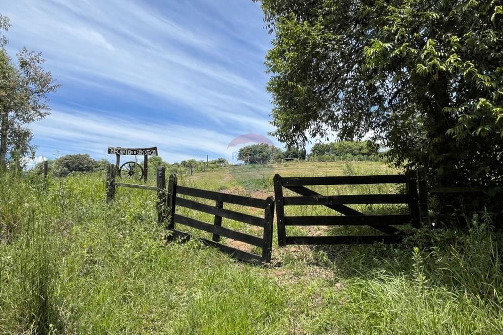 Terreno - Venda - Santa Maria , Rio Grande do Sul - WhatsApp Image 2026-01-26 at 09.42.17 (1).jpeg - 610451036-2