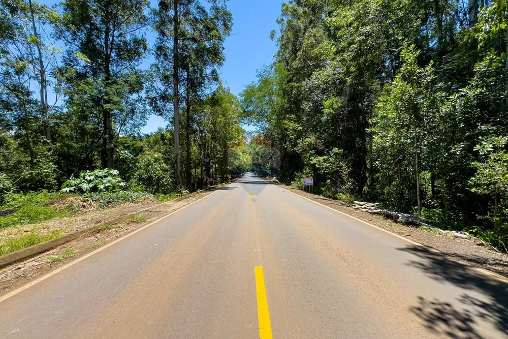 Terreno - Venda - Severiano de Almeida , Rio Grande do Sul - IMG_8518.jpg - 612761027-22