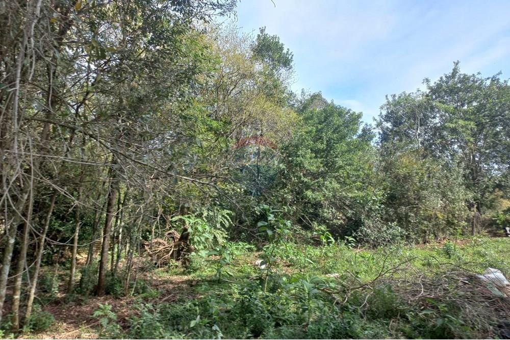 Chácara / Sítio / Fazenda - Venda - Nonoai , Rio Grande do Sul - IRIA O5.jpg - 610231002-40