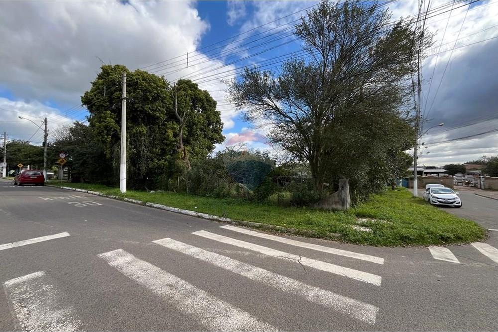 Terreno - Venda - Gravataí , Rio Grande do Sul - IMG-20250811-WA0436.jpg - 610161032-36