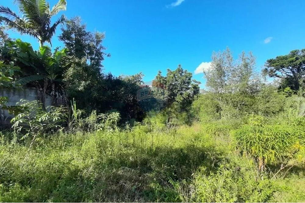 Chácara / Sítio / Fazenda - Venda - Alvorada , Rio Grande do Sul - WhatsApp Image 2025-07-31 at 16.29.24.jpeg - 612531061-12