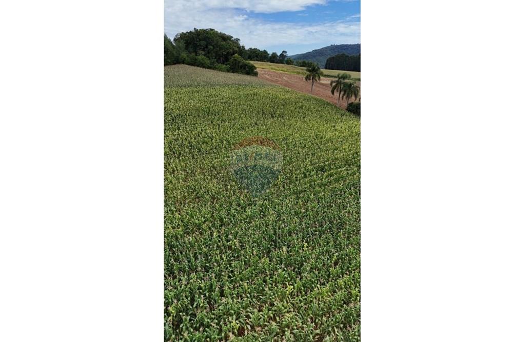 Chácara / Sítio / Fazenda - Venda - Gramado , Rio Grande do Sul - WhatsApp Image 2026-02-24 at 18.00.10 (2).jpeg - 610131034-44