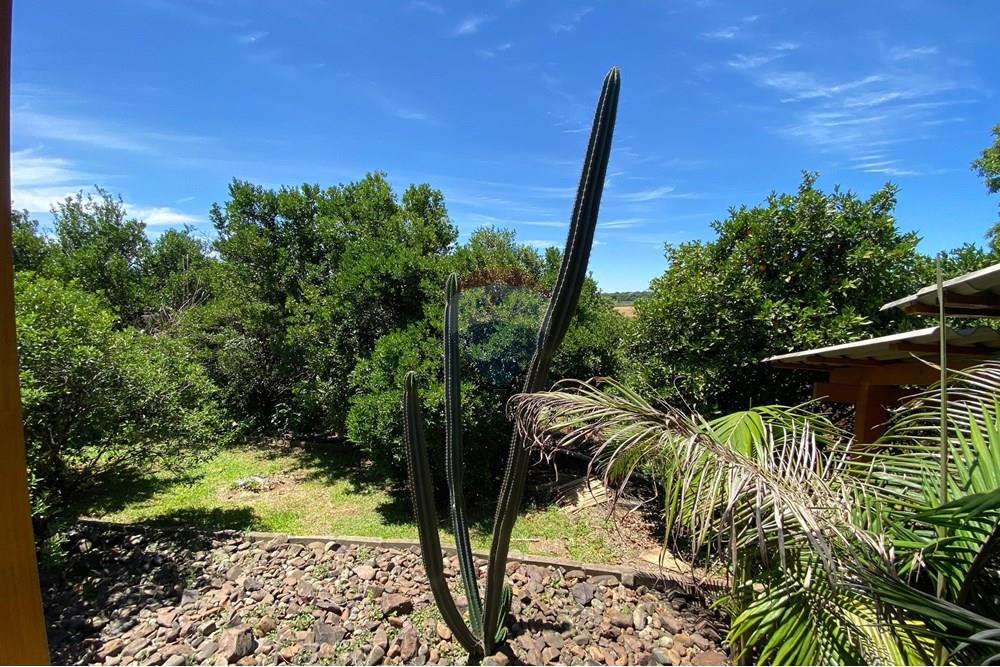 Terreno - Venda - Passo Fundo , Rio Grande do Sul - IMG-20251113-WA0107.jpg - 610271093-29