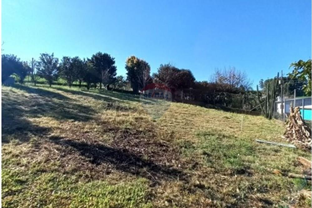 Terreno - Venda - Trindade do Sul , Rio Grande do Sul - WhatsApp Image 2025-09-10 at 00.59.27.jpeg - 610231035-3