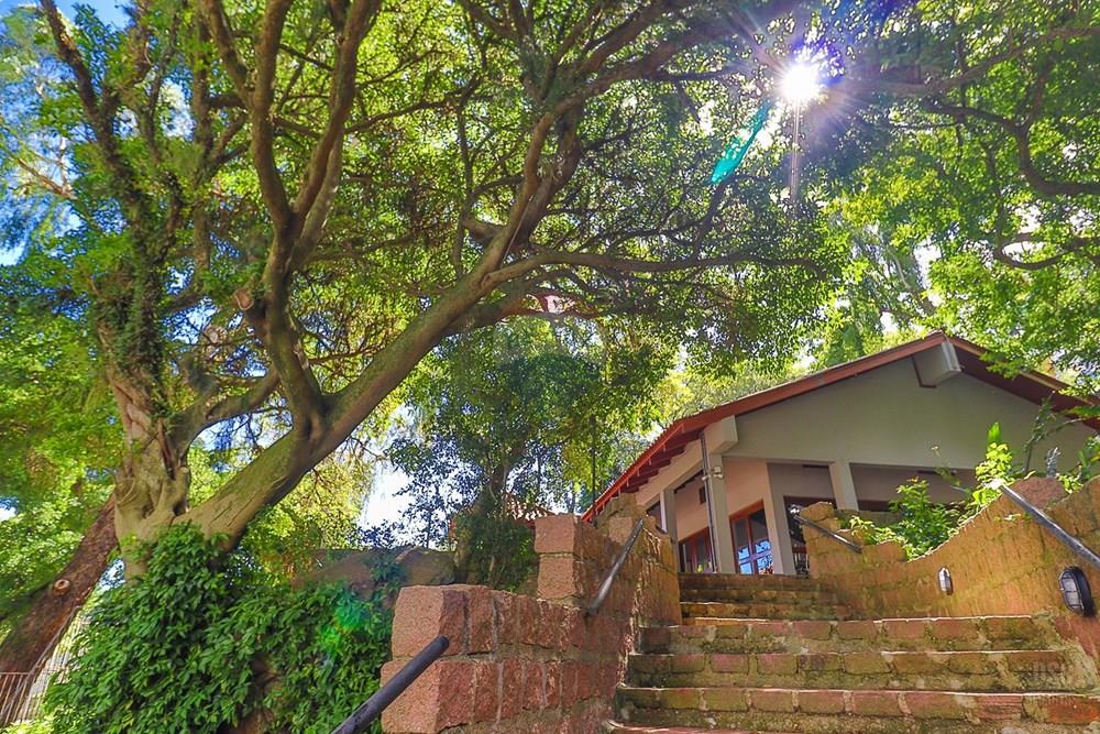 Apartamento - Venda - Porto Alegre , Rio Grande do Sul - IMG_0150.jpg - 610191022-164