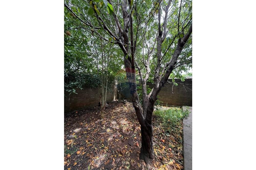 Sobrado - Venda - São Gabriel , Rio Grande do Sul - WhatsApp Image 2025-12-22 at 13.27.36 (1).jpeg - 612631035-17